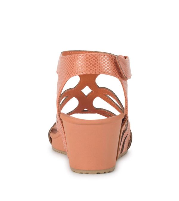 Steviesealey.shopbeb2e4a6aa 5