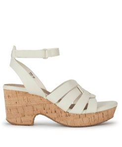 Steviesealey.shopbfc5a753f9 3