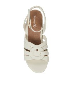 Steviesealey.shopbfc5a753f9 4