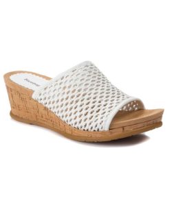 Steviesealey.shopc409448ef4 1