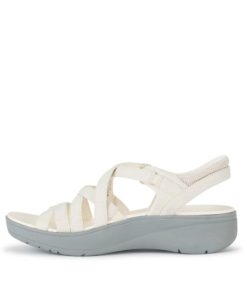 Steviesealey.shopc5bf6cd5a7 2