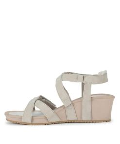 Steviesealey.shopc5dc3b9262 2