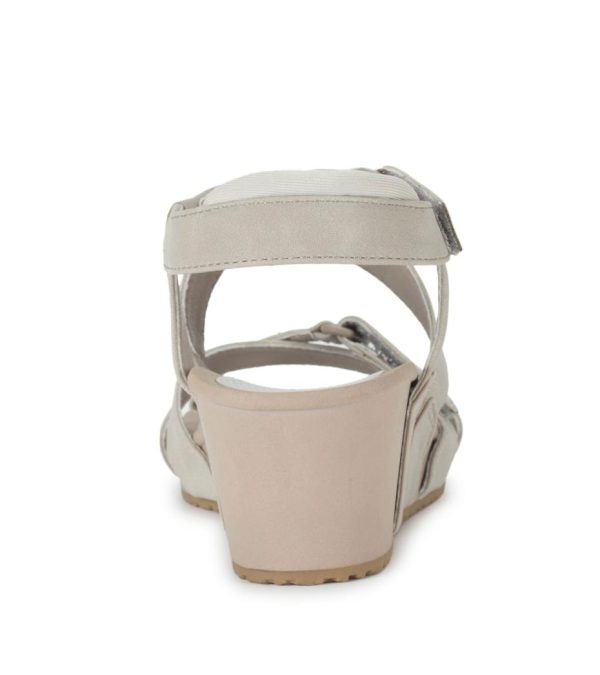 Steviesealey.shopc5dc3b9262 5