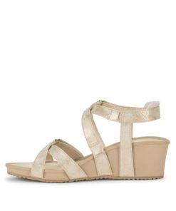 Steviesealey.shopce1181d2f7 2