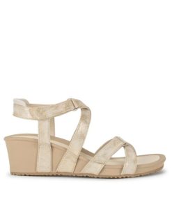 Steviesealey.shopce1181d2f7 3