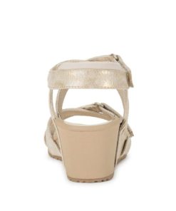 Steviesealey.shopce1181d2f7 5