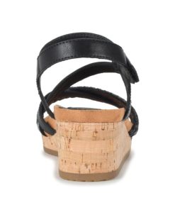 Steviesealey.shopd796ae1b61 5