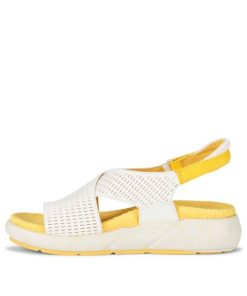 Steviesealey.shopdb5e5c66e9 2