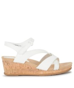 Steviesealey.shope3b614979b 3