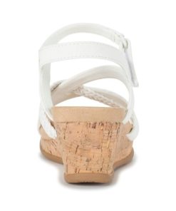 Steviesealey.shope3b614979b 5