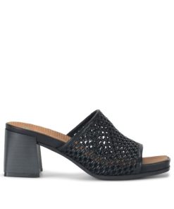 Steviesealey.shope70704a4b5 3