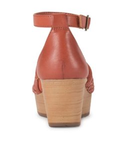 Steviesealey.shopf6fb81343e 5