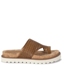 Steviesealey.shopf862bb377f 3