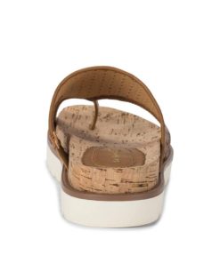 Steviesealey.shopf862bb377f 5