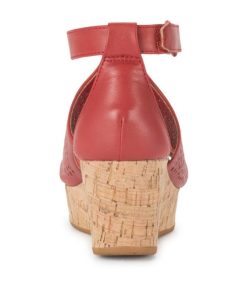 Steviesealey.shopf95034ac8e 5